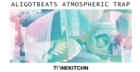 AliGotBeats - Atmospheric Trap
