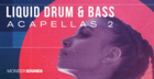 Liquid Drum & Bass Acapellas Vol 2