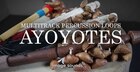 Ayoyotes Seeds-Shells